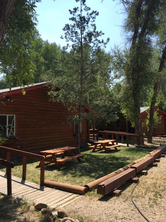 Teton Valley Cabins Дриггс Экстерьер фото